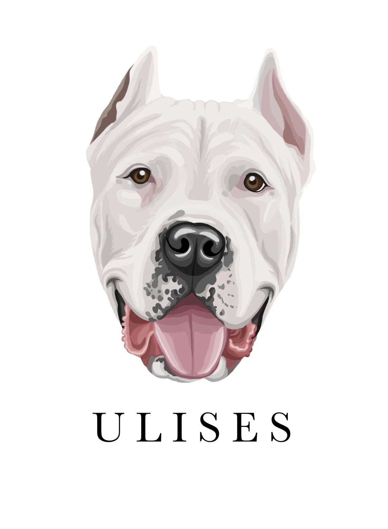 Ilustración de Ulises