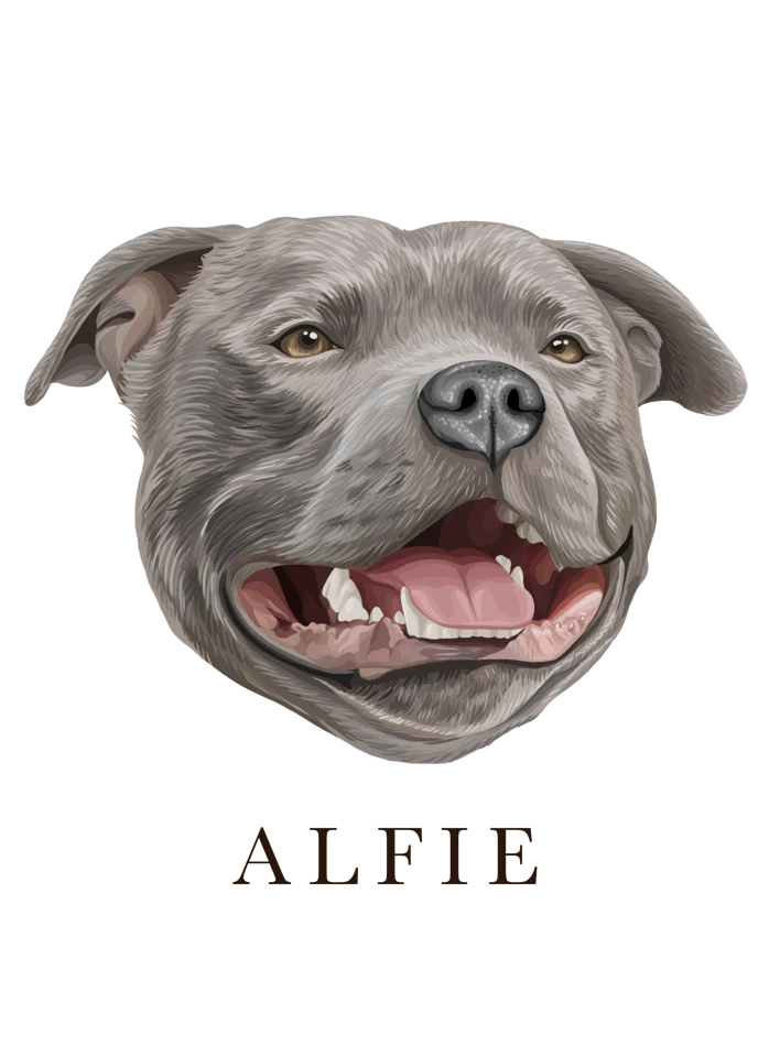 Ilustración de Alfie