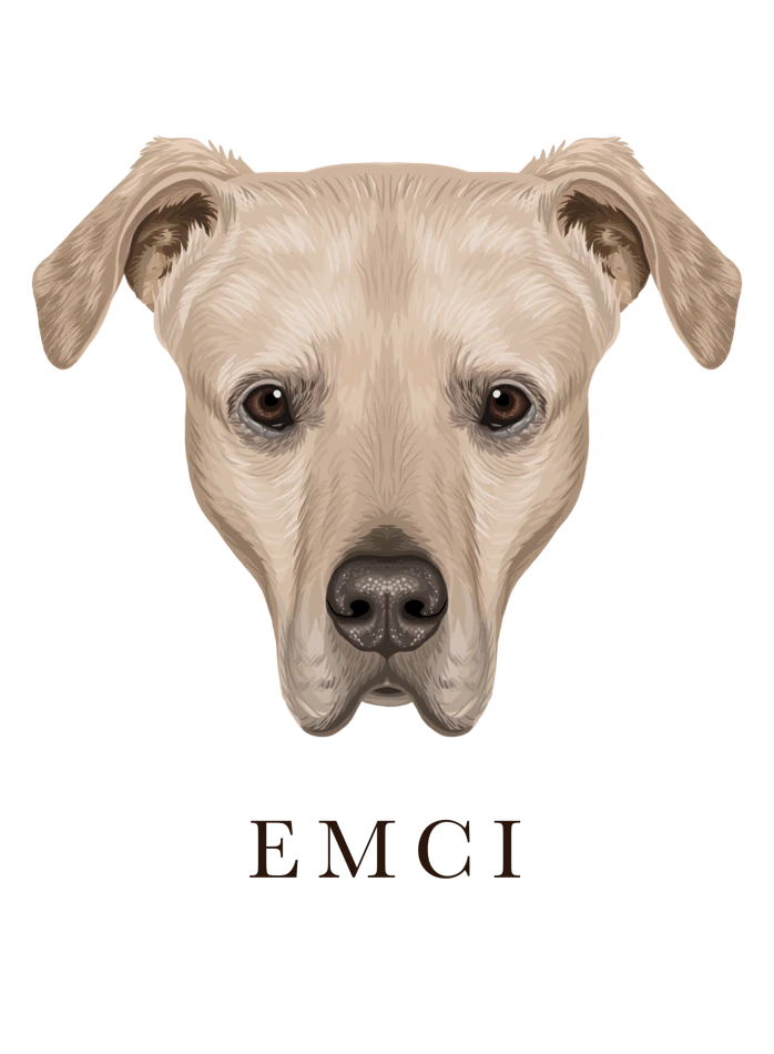 Ilustración de Emci