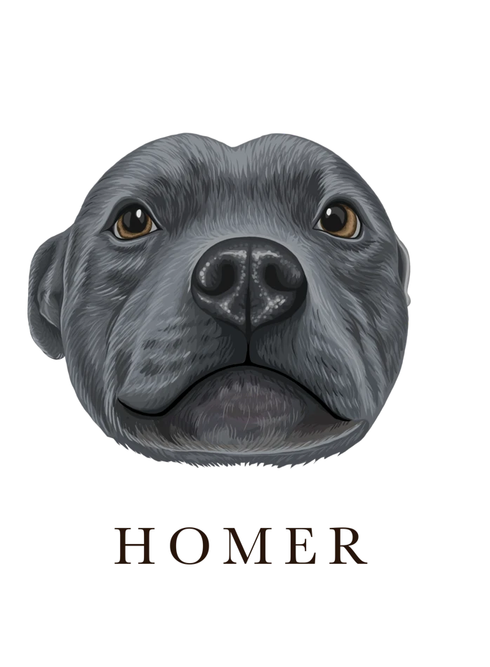 Ilustración de Homer
