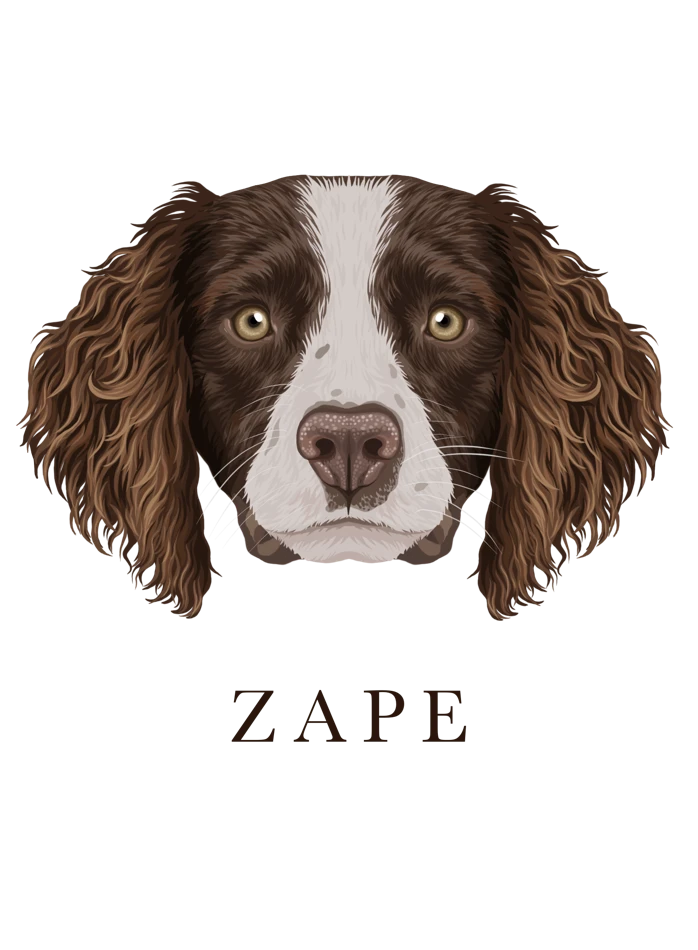 Ilustración de Zape